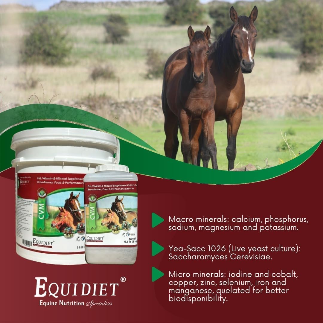 Equidiet CVM Horse Vitamins with Vitamin E, Selenium, and Mineral Complex for Healthy Coat and Overall Wellness