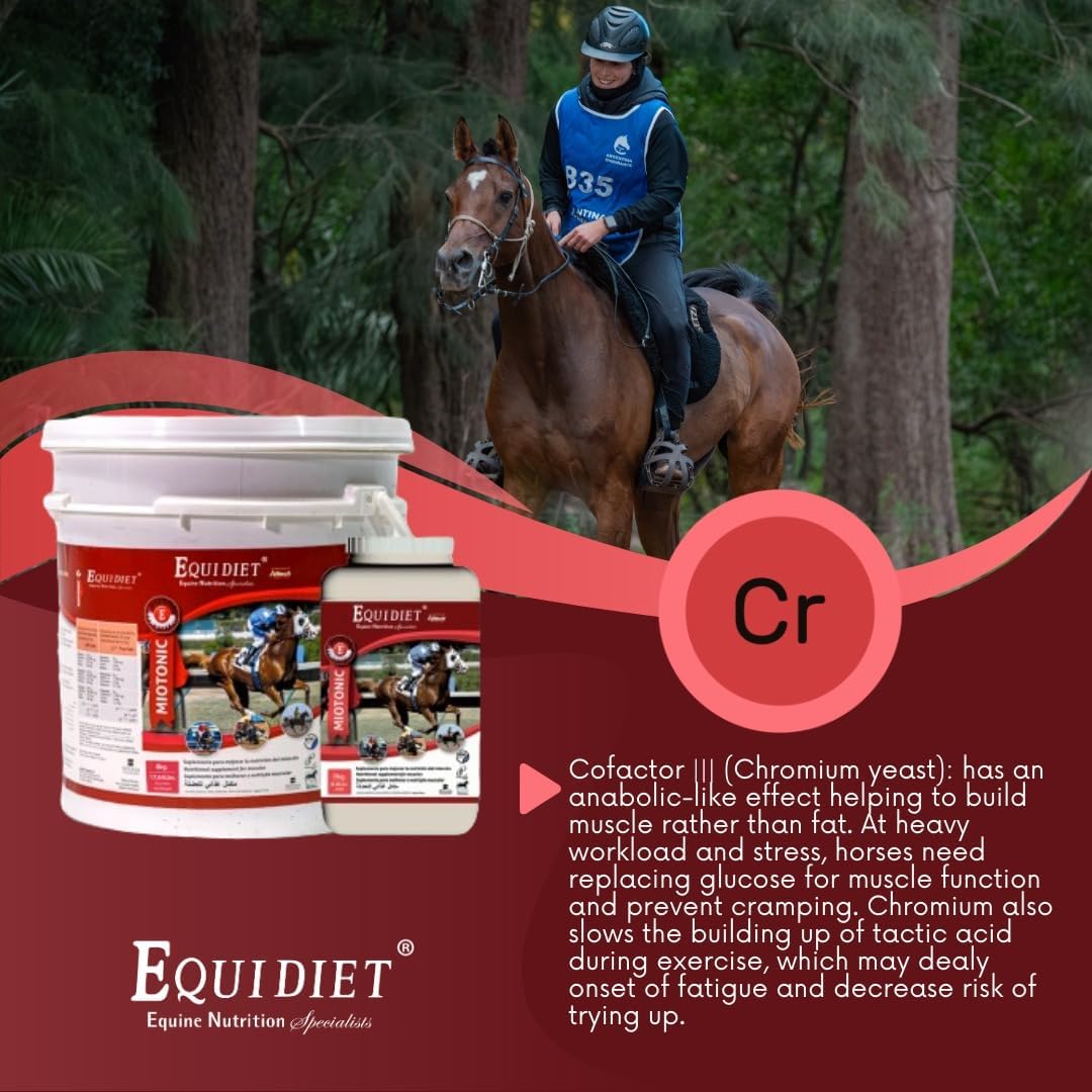 Equidiet MIOTONIC Vitamin E Supplement for Horses - Pellets with Vitamins and Minerals - Weight Builder for Horses - Neutraceuticals (3 kg)