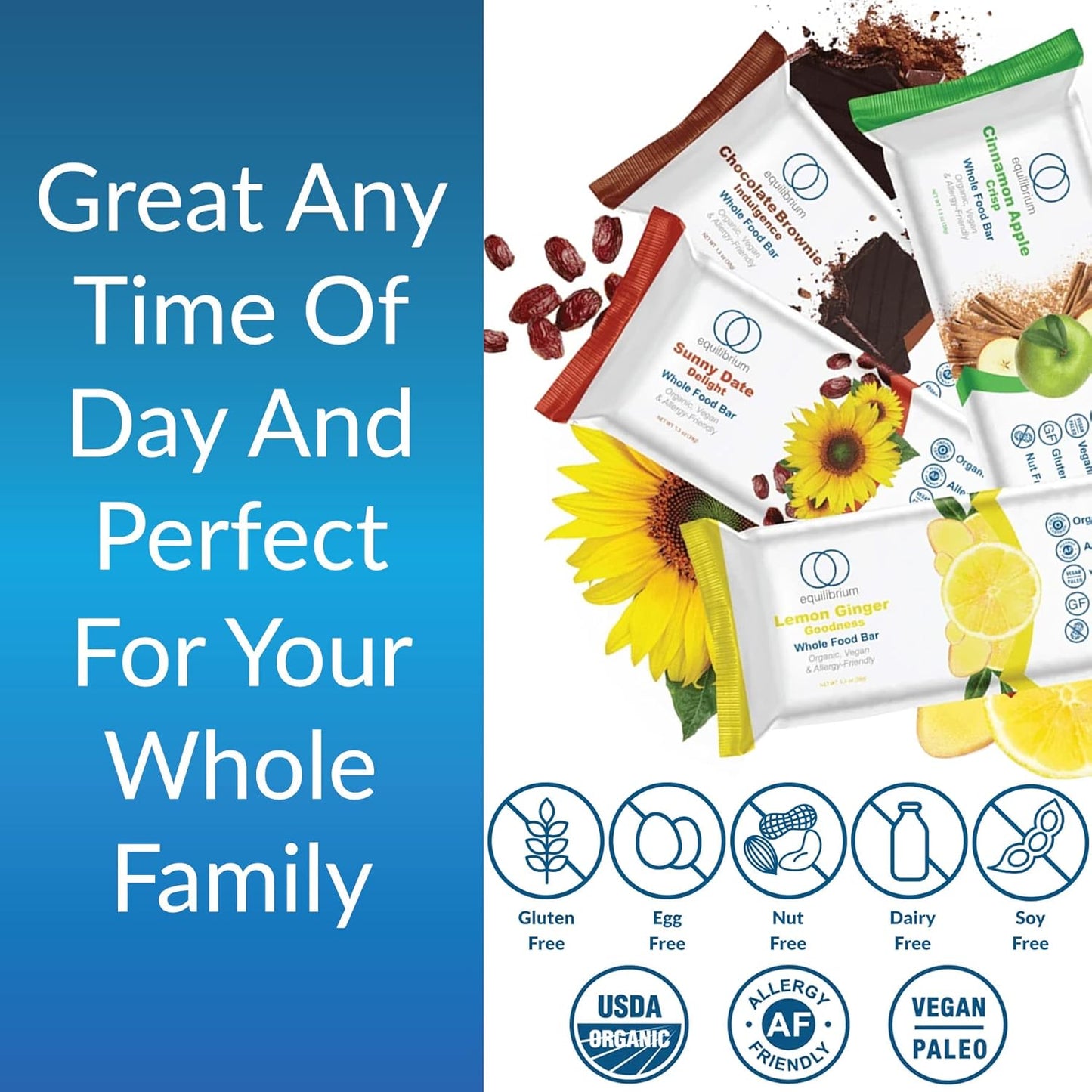 EquiLife Chocolate Brownie Whole Food Bars - Paleo & Vegan Protein Bars with 6g of Protein, Under 200 Calories, Organic Nutrition Bars, Travel-Size, Gluten-Free, Soy-Free - 9 Count