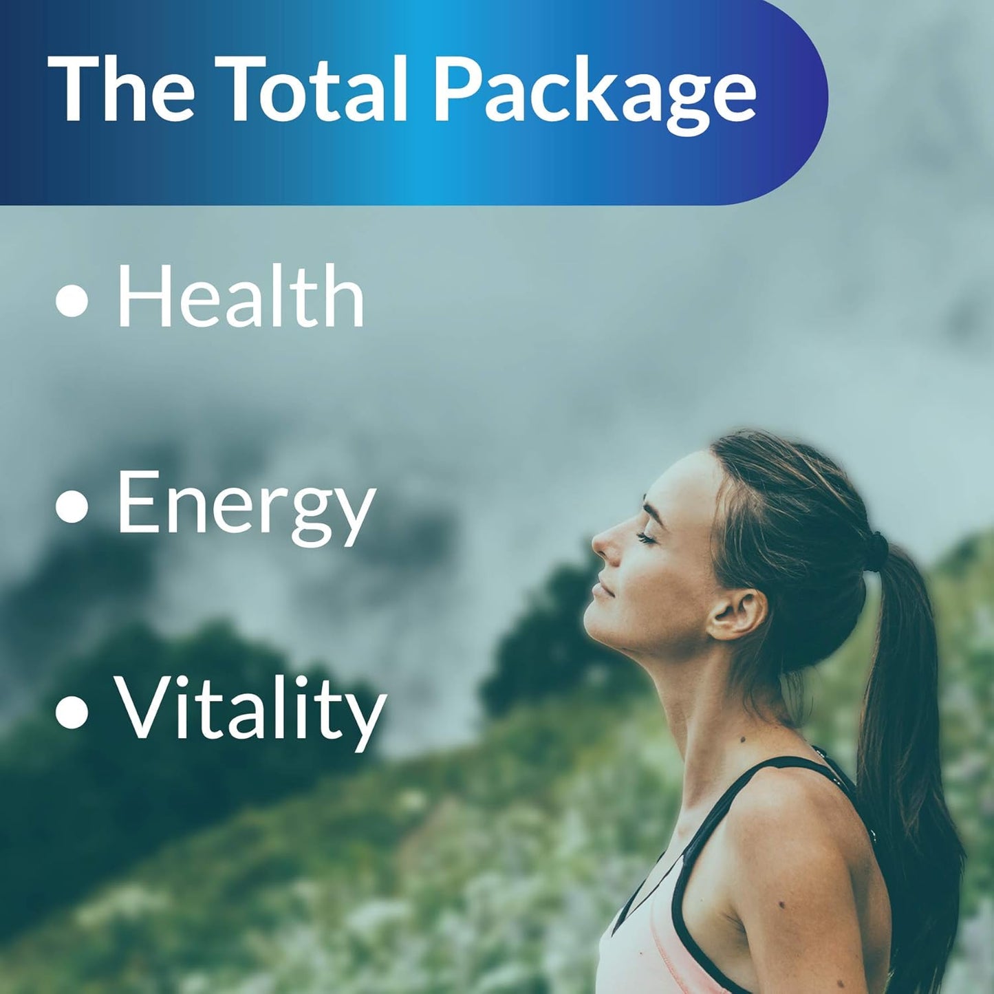 EquiLife Chocolate Brownie Whole Food Bars - Paleo & Vegan Protein Bars with 6g of Protein, Under 200 Calories, Organic Nutrition Bars, Travel-Size, Gluten-Free, Soy-Free - 9 Count