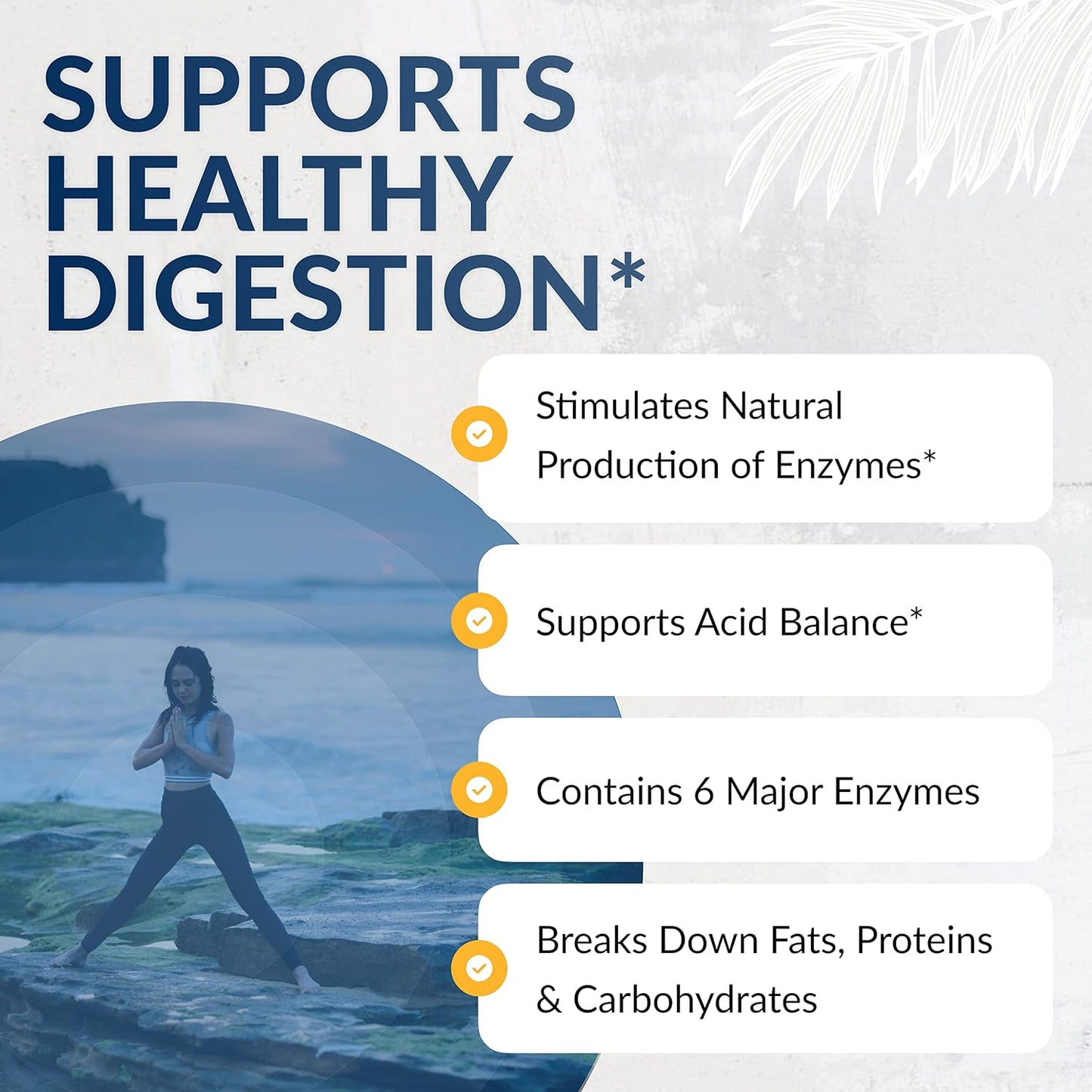 Equilife Digestive Enzyme Supplement for Gut Health - Aid Bloating, Gas Relief, Nutrient Absorption - Formulated for Food Sensitivity (90 Servings)