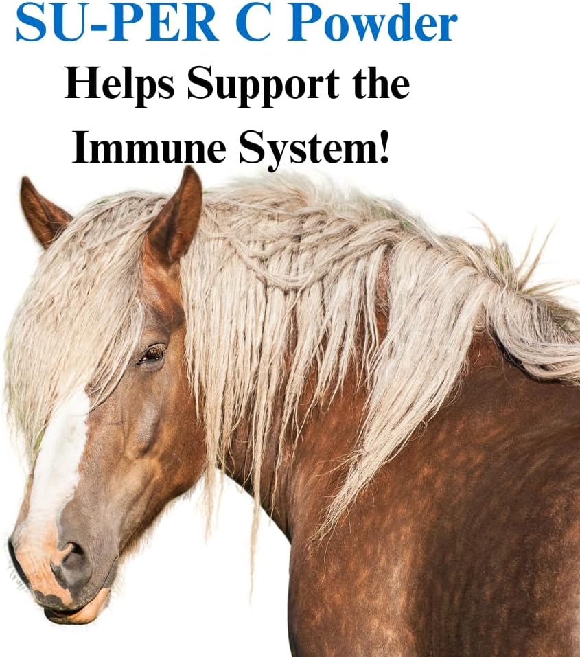 Equine Antioxidant & Immune Support Supplement with Vitamin C - Horse Vitamins & Minerals - 5 Pounds Total