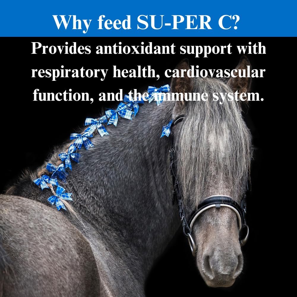 Equine Antioxidant & Immune Support Supplement with Vitamin C - Horse Vitamins & Minerals - 5 Pounds Total