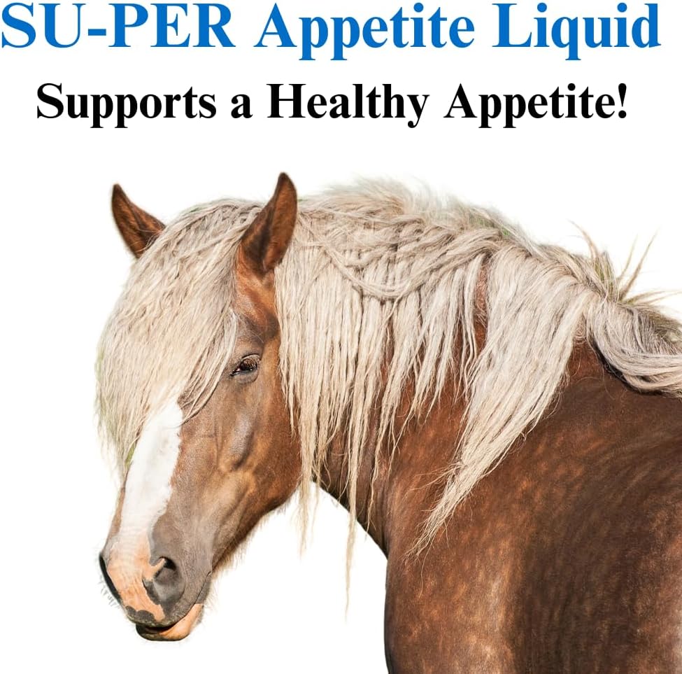 Equine Appetite Booster Liquid Feed Supplement - Vitamin Support for Healthy Appetite - 1 Quart, (2 Pack) - SU-PER Horse Appetite Supplement