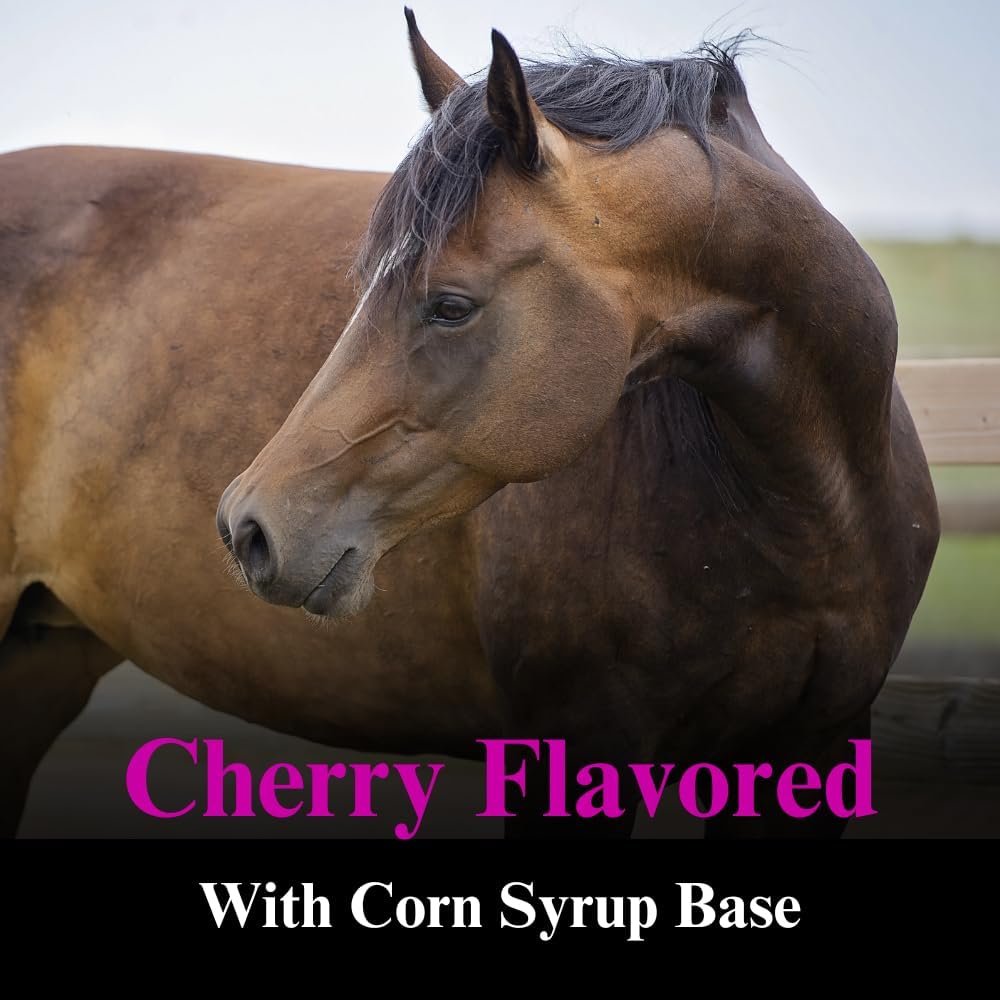 Equine Appetite Booster Liquid Feed Supplement - Vitamin Support for Healthy Appetite - 1 Quart, (2 Pack) - SU-PER Horse Appetite Supplement