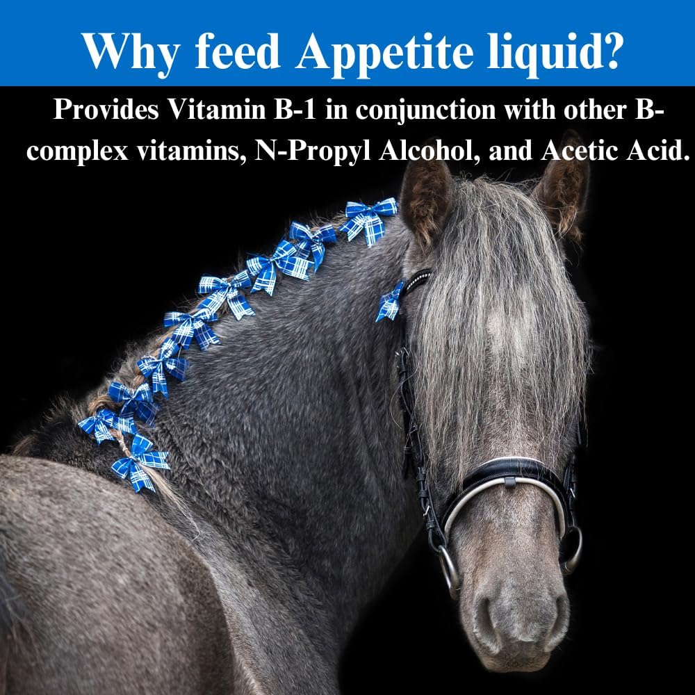 Equine Appetite Booster Liquid Feed Supplement - Vitamin Support for Healthy Appetite - 1 Quart, (2 Pack) - SU-PER Horse Appetite Supplement