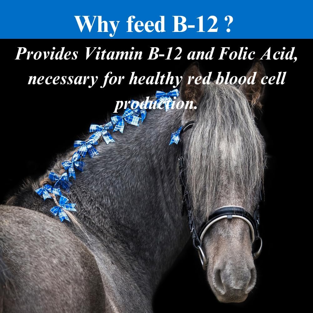 Equine B-12 Energy Supplement with Folic Acid - 2.5 lb Powder (2 Pack)