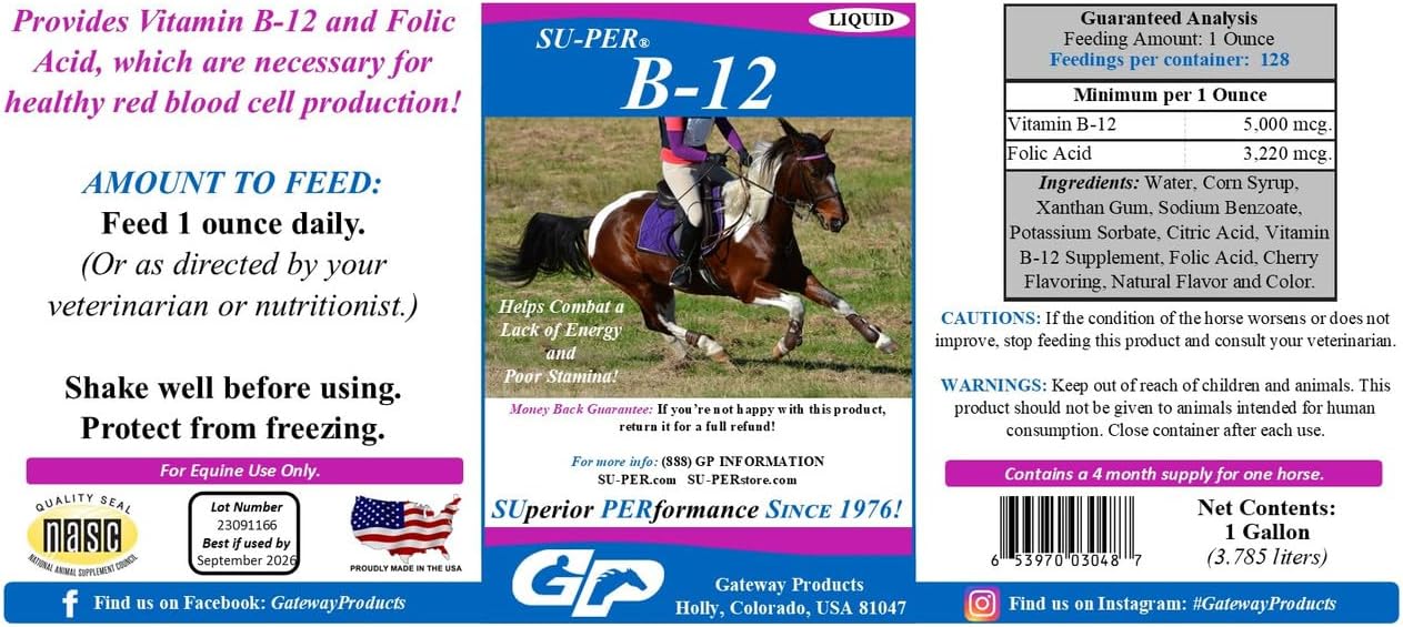 Equine B-12 Energy Supplement with Folic Acid - Liquid Support for Stamina & Red Blood Cell Production - Gallon Size, 4 Months Supply