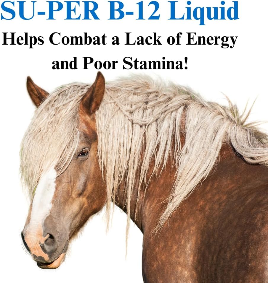 Equine B-12 Energy Supplement with Folic Acid - Liquid Support for Stamina & Red Blood Cell Production - Gallon Size, 4 Months Supply