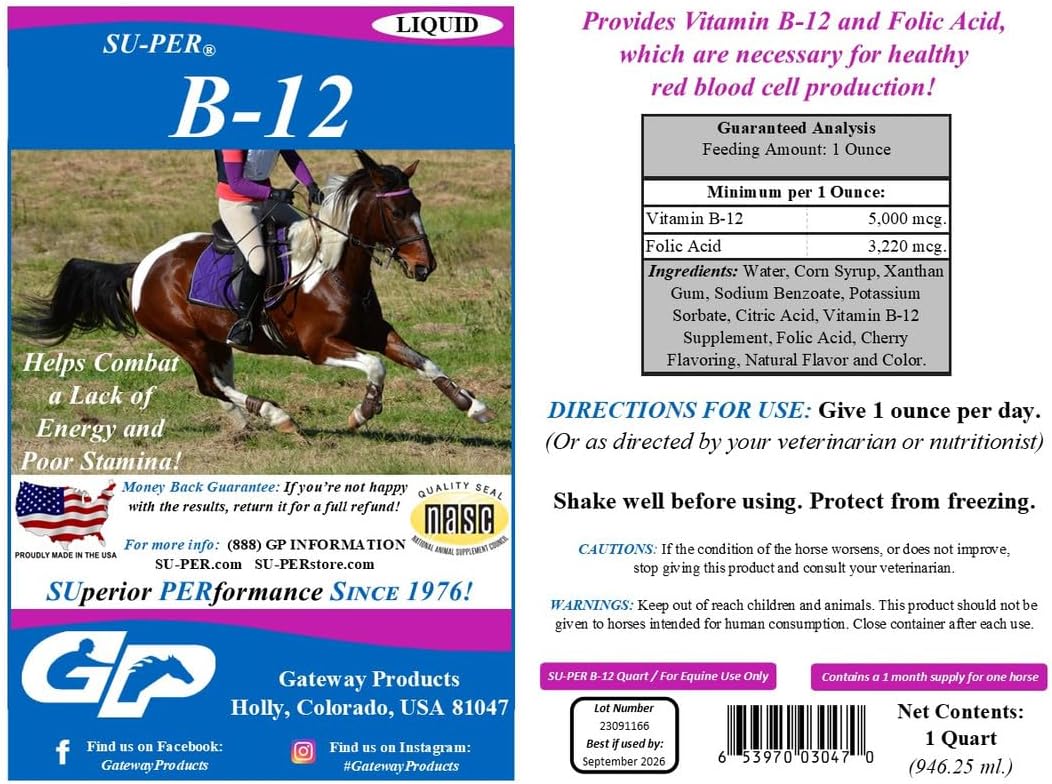 Equine B-12 Energy Supplement with Folic Acid for Red Blood Cell Production and Stamina - Quart, (2 Pack)
