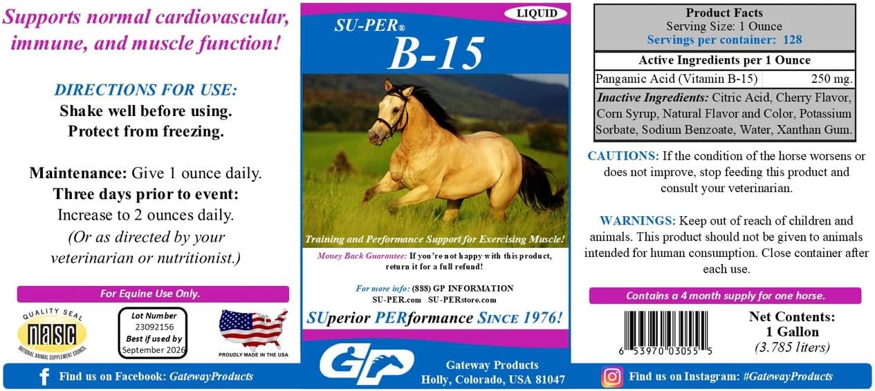 Equine B-15 Vitamin Liquid Supplement for Performance Support - Supports Cardiovascular, Immune, & Muscle Function - 1 Gallon, 4 Month Supply