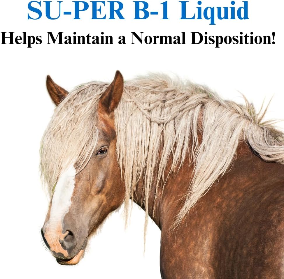 Equine Calming Liquid Supplement with Vitamin B-1 - Horse Calmer and Appetite Booster - 1 Quart, (2 Pack)