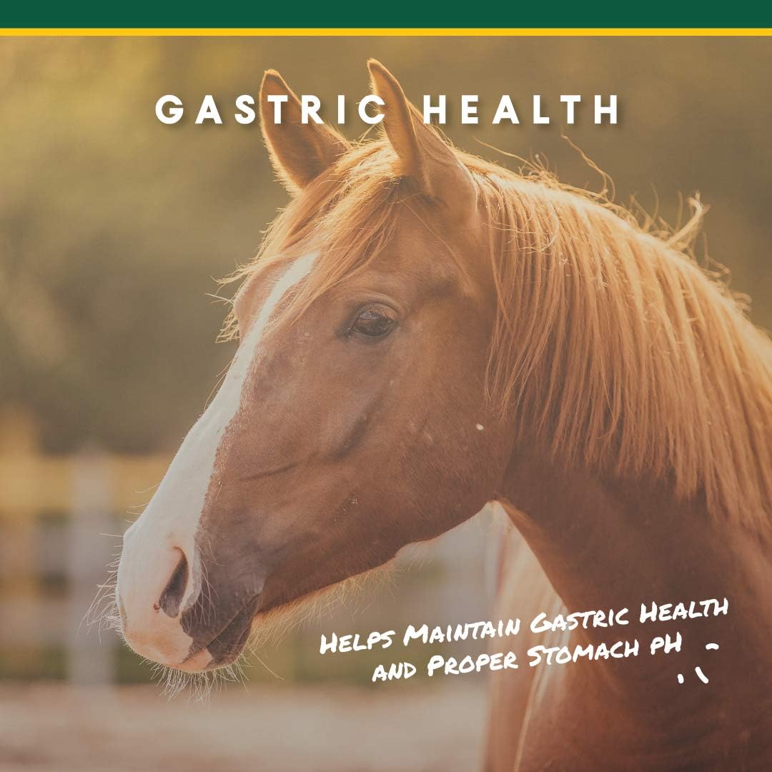 Equine Digestive Supplement: Manna Pro Corta-Flx U-Gard Pellets - Maintain Gastric Health, Prevent Ulcers - 10 LB