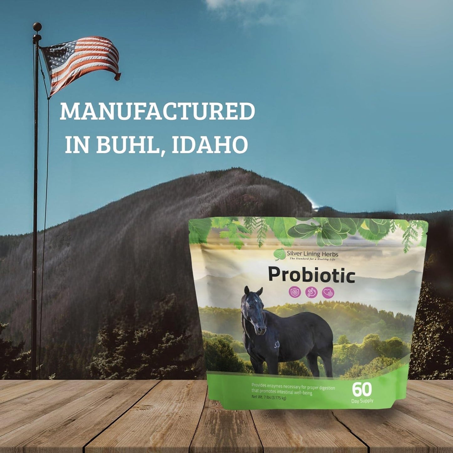 Equine Digestive Support Probiotic - Micro Encapsulated Horse Probiotics for Healthy Gut - Natural Source of Bacteria and Enzymes - 1.25 lb Bag