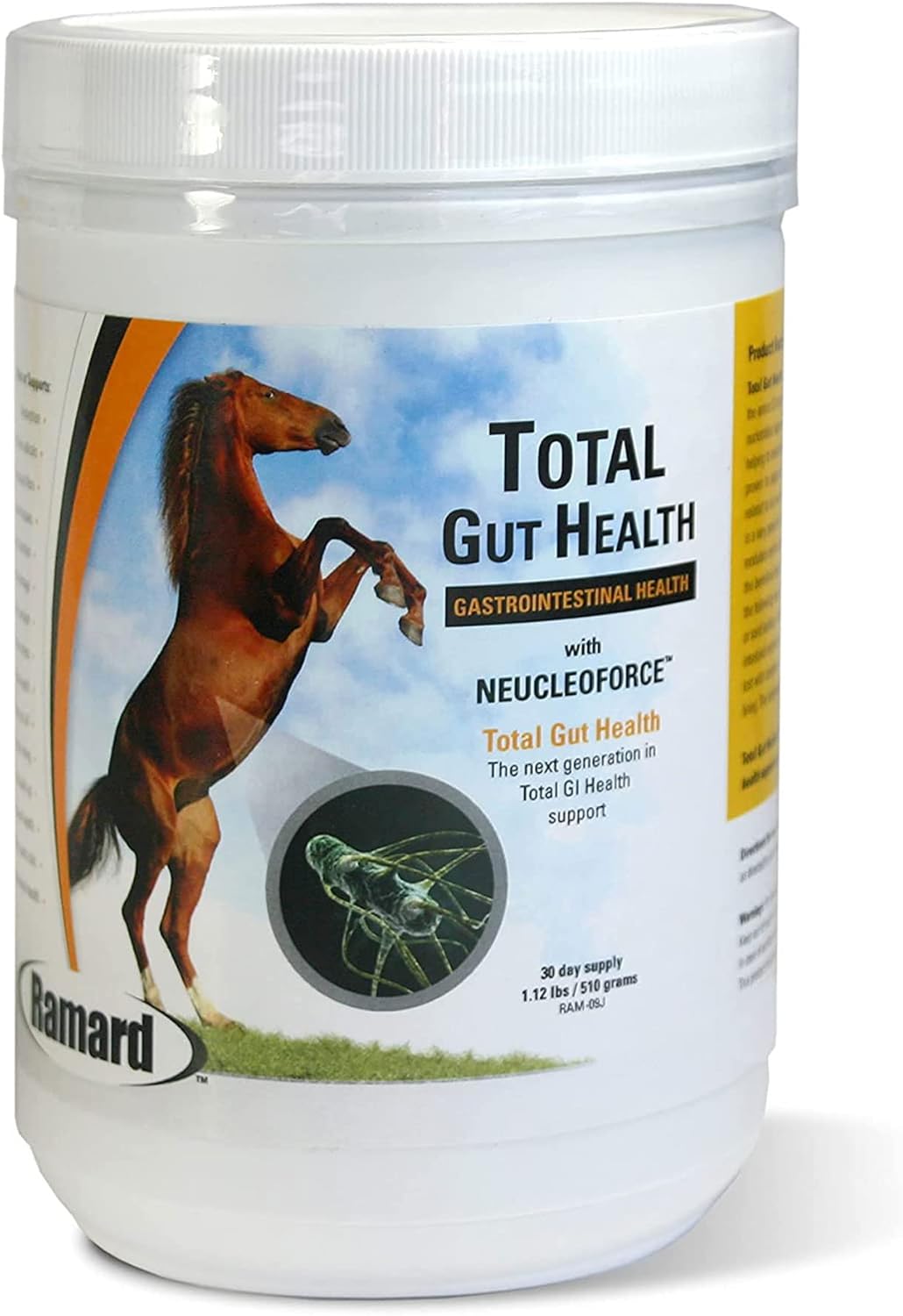 Equine Digestive Support Supplement for Healthy Gut & Gastric Relief - Probiotics & Vitamins for Horses, Optimum Digestive Health - 30-Day Supply