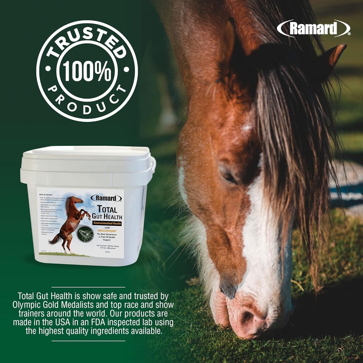 Equine Digestive Support Supplement for Horses - Total Gut Health, Probiotics, Vitamins, Gastric Relief - 6.75 lbs, 180-Day Supply