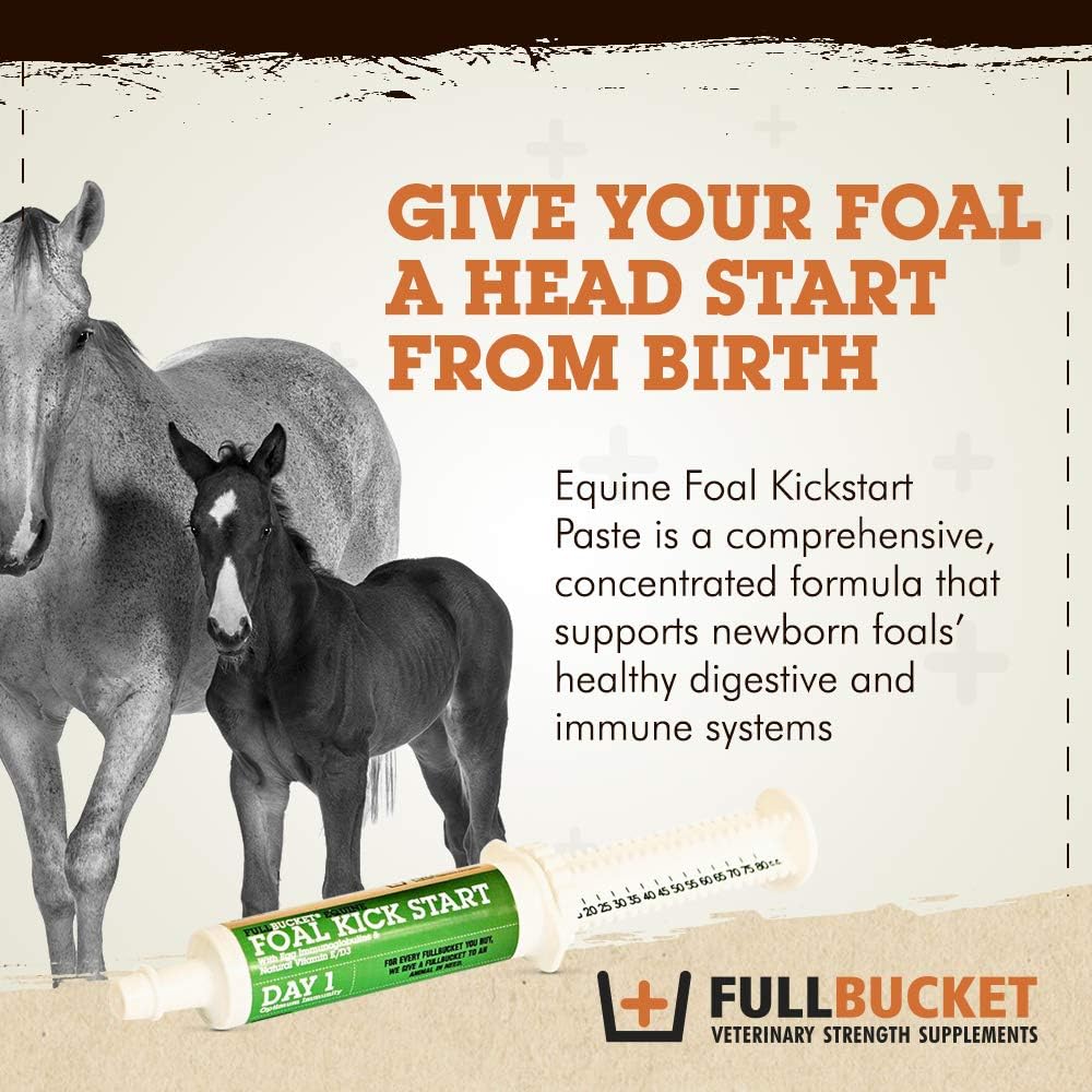 Equine Foal Kickstart Paste for Newborn Foals - Supports Healthy Immune & Digestive System on Day 1, 1 Tube