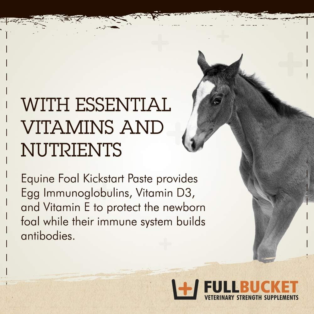Equine Foal Kickstart Paste for Newborn Foals - Supports Healthy Immune & Digestive System on Day 1, 1 Tube
