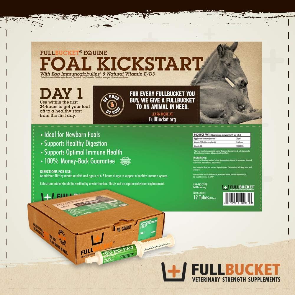 Equine Foal Kickstart Paste for Newborn Foals - Supports Healthy Immune & Digestive System on Day 1, 1 Tube