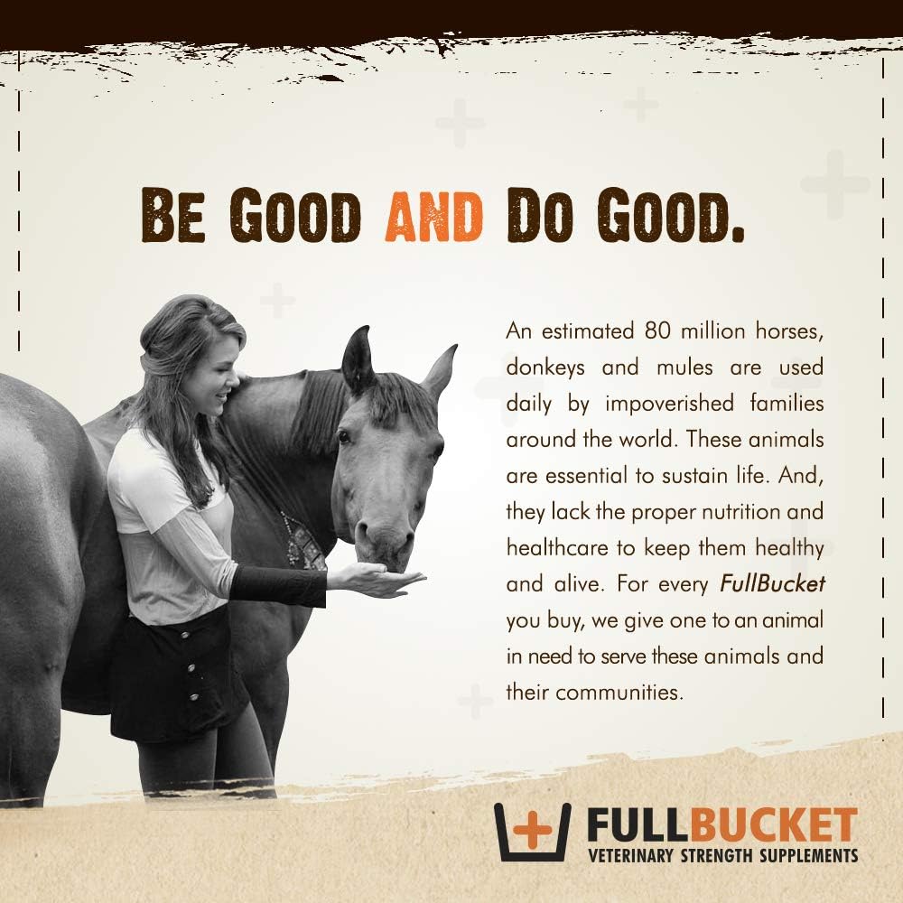 Equine Foal Kickstart Paste for Newborn Foals - Supports Healthy Immune & Digestive System on Day 1, 1 Tube