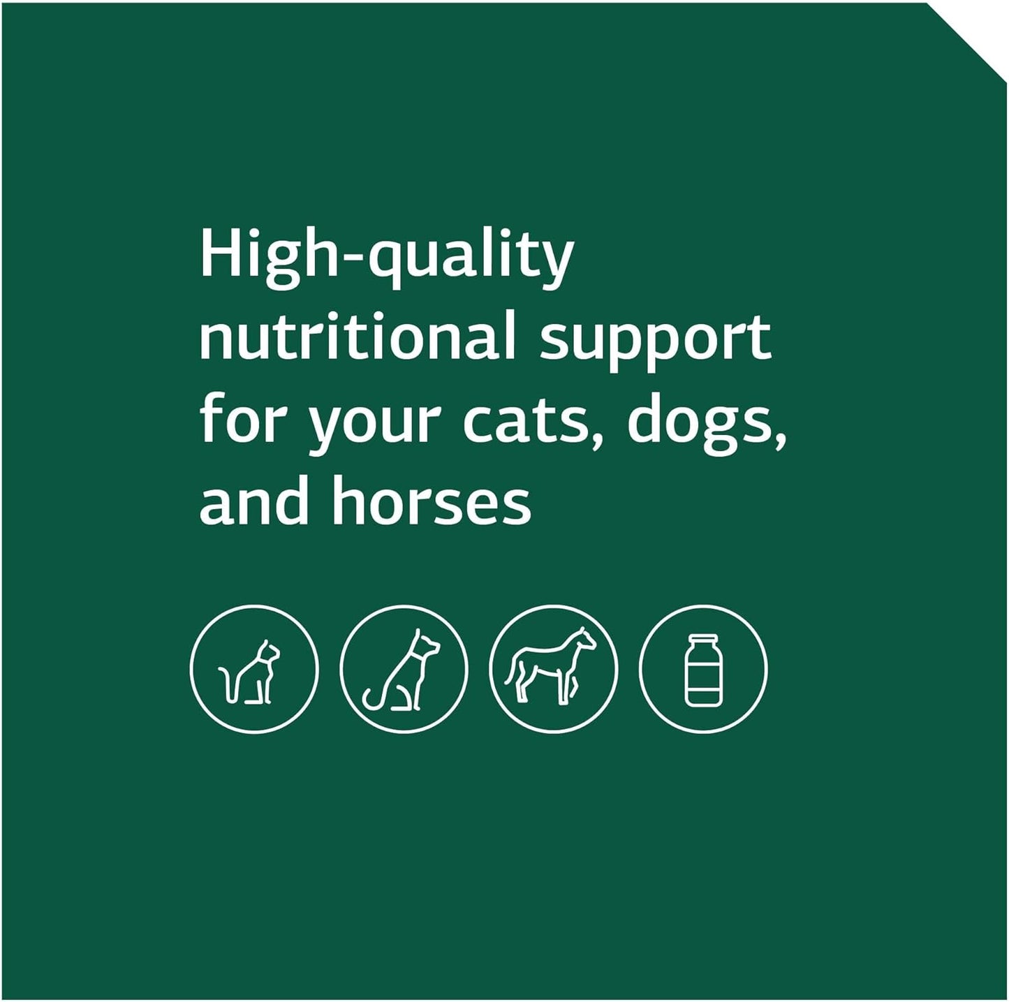 Equine GI Support Powder Supplement - Whole Food Digestion Formula for Horses - 850g - Standard Process Inc.