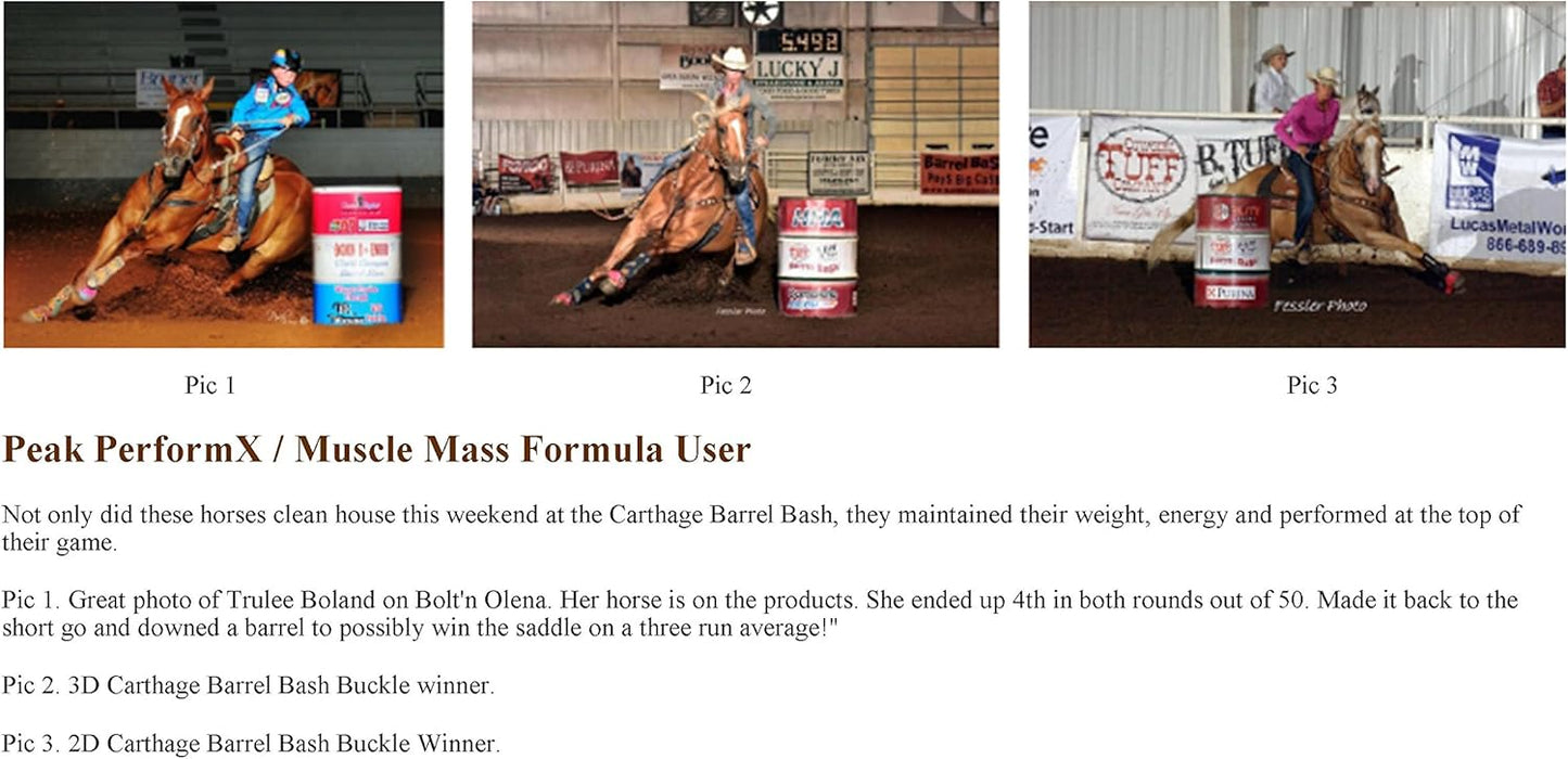 Equine Gold Signature Line Peak PerformX Supreme Soul Multi Vitamin 1420g with Tribulus - Body Builder, Competition, Recovery, Nitric Oxide, Health Formula