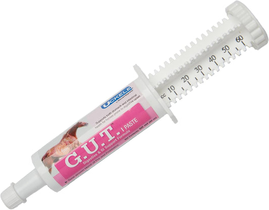 Equine Gut Health Paste with Probiotics & Prebiotics for Horse Digestive Support