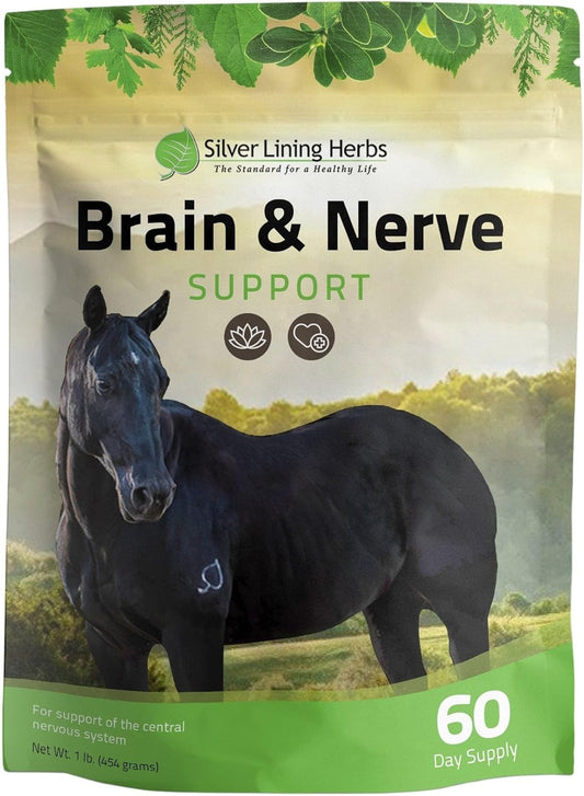 Equine Herbal Blend for Brain & Nerve Support - Improve Focus, Attention Span, & Behavior - Promotes Mental Health - 1lb Bag