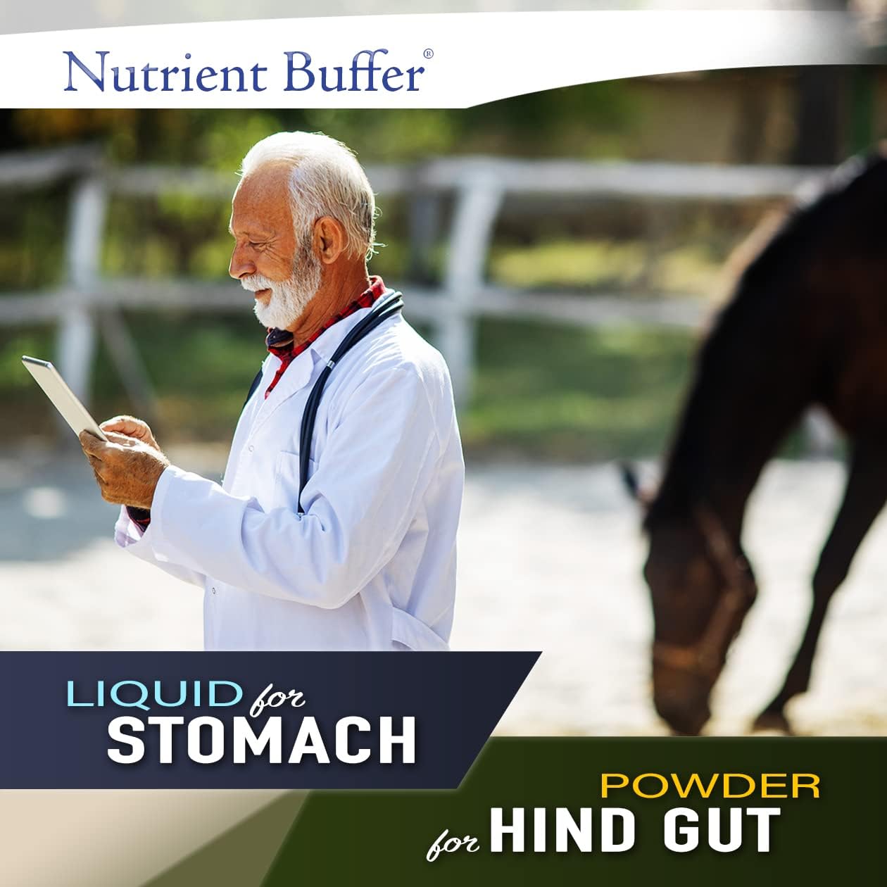 Equine Hind Gut Digestive Support Formula - Nutrient Buffer HG for Lower Gastric Health in Horses