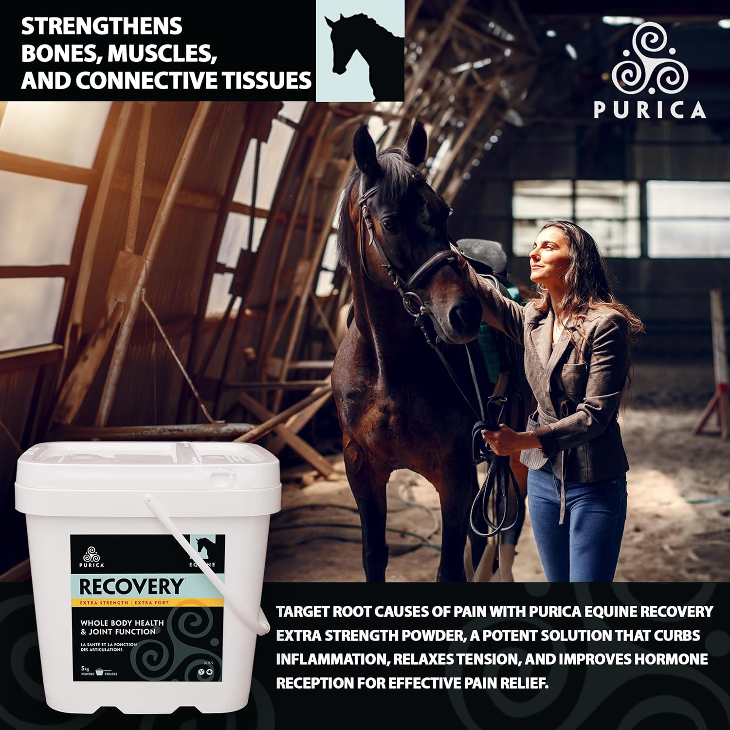 Equine Joint Supplement - Comprehensive Support for Senior Horses - MSM Powder Included - 11 lb Powder