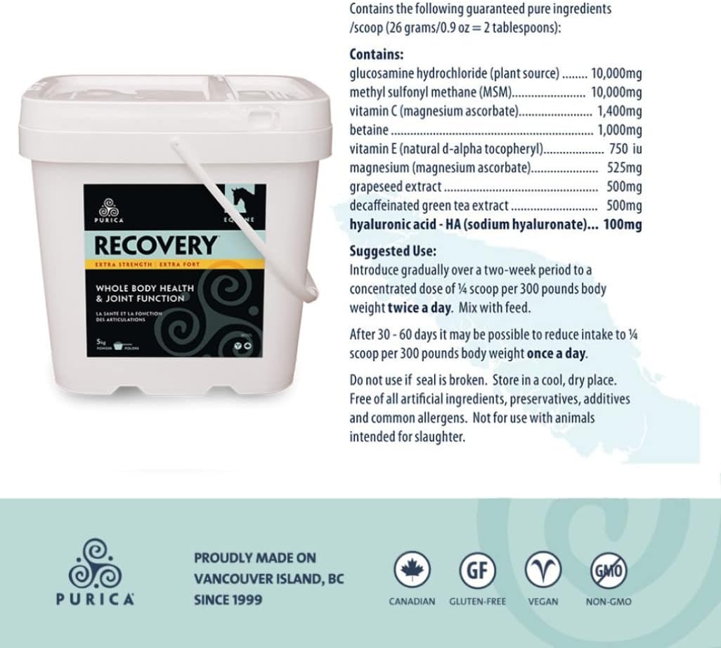 Equine Joint Supplement - Comprehensive Support for Senior Horses - MSM Powder Included - 11 lb Powder
