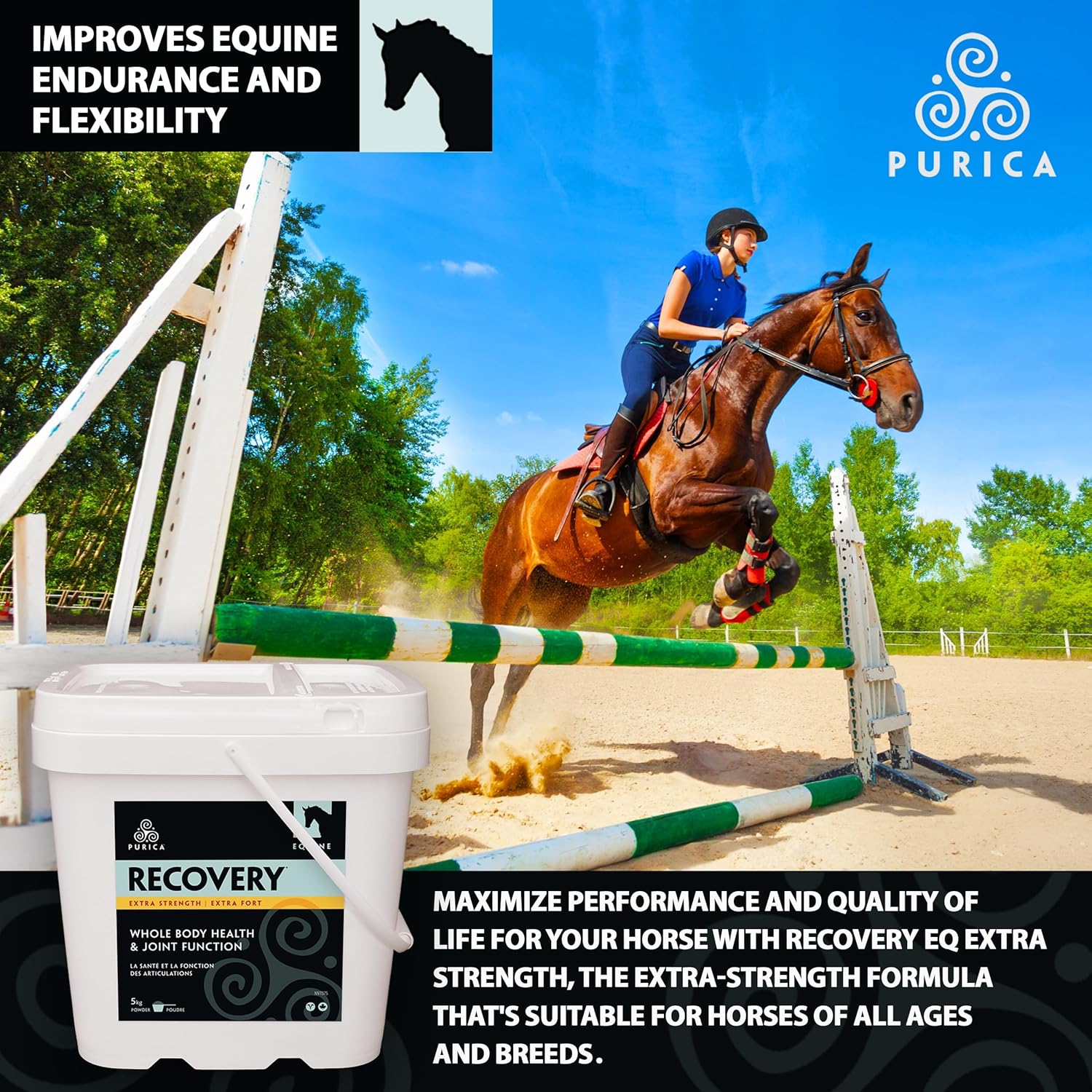 Equine Joint Supplement - Comprehensive Support for Senior Horses - MSM Powder Included - 11 lb Powder
