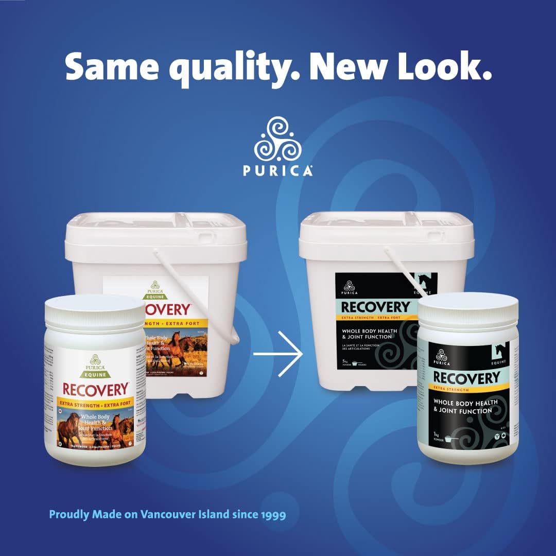 Equine Joint Supplement - Comprehensive Support for Senior Horses - MSM Powder Included - 11 lb Powder