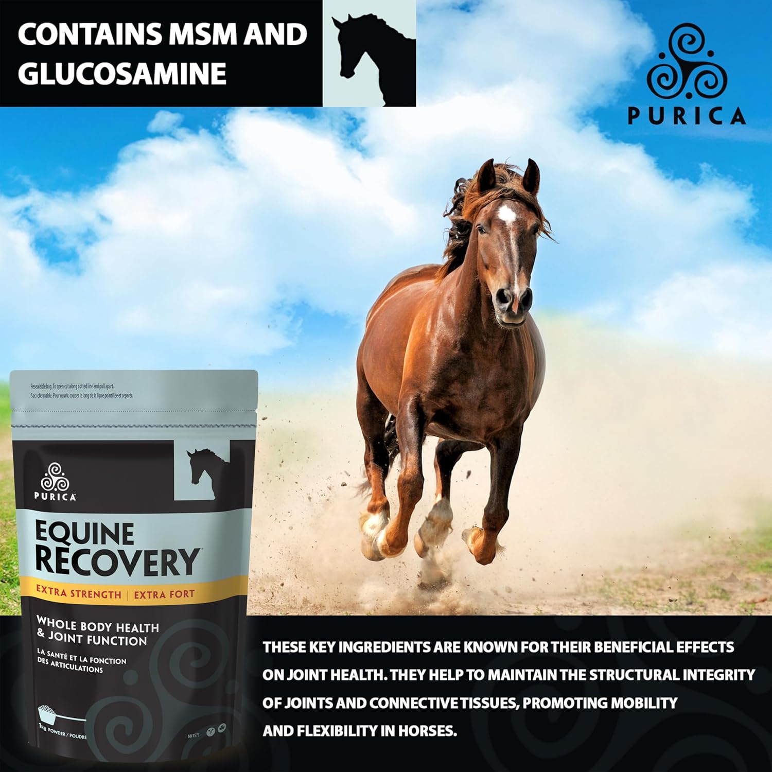 Equine Joint Support Supplement with Hyaluronic Acid, Glucosamine, MSM Powder, Betaine, Magnesium, Vitamin C & E - Green Tea and Grape Seed Extract for Horses
