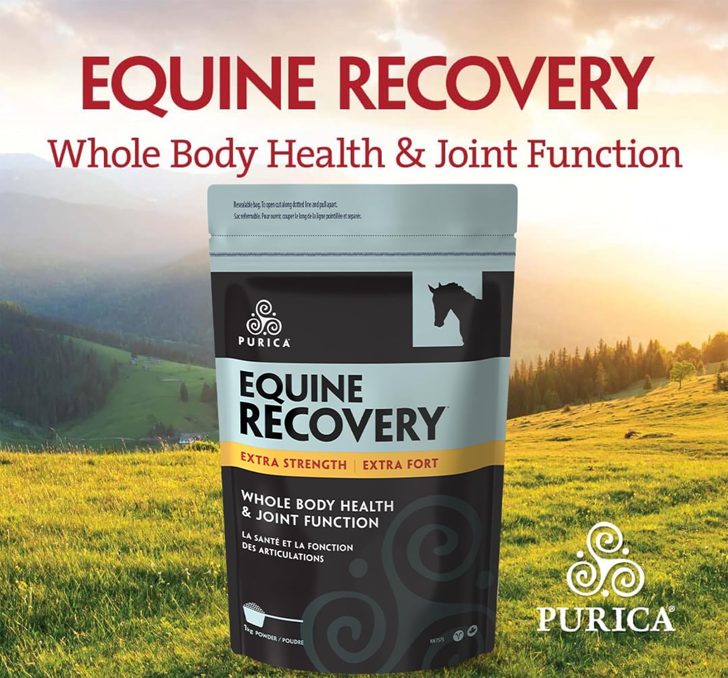 Equine Joint Support Supplement with Hyaluronic Acid, Glucosamine, MSM Powder, Betaine, Magnesium, Vitamin C & E - Green Tea and Grape Seed Extract for Horses