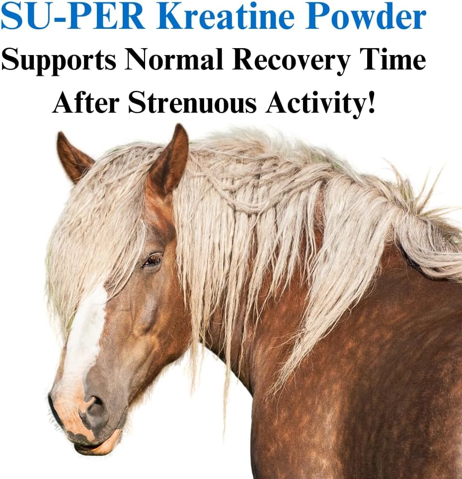Equine Kre-Alkalyn Creatine Supplement for Energy, Stamina, and Endurance - 2.5lb (2 Pack)