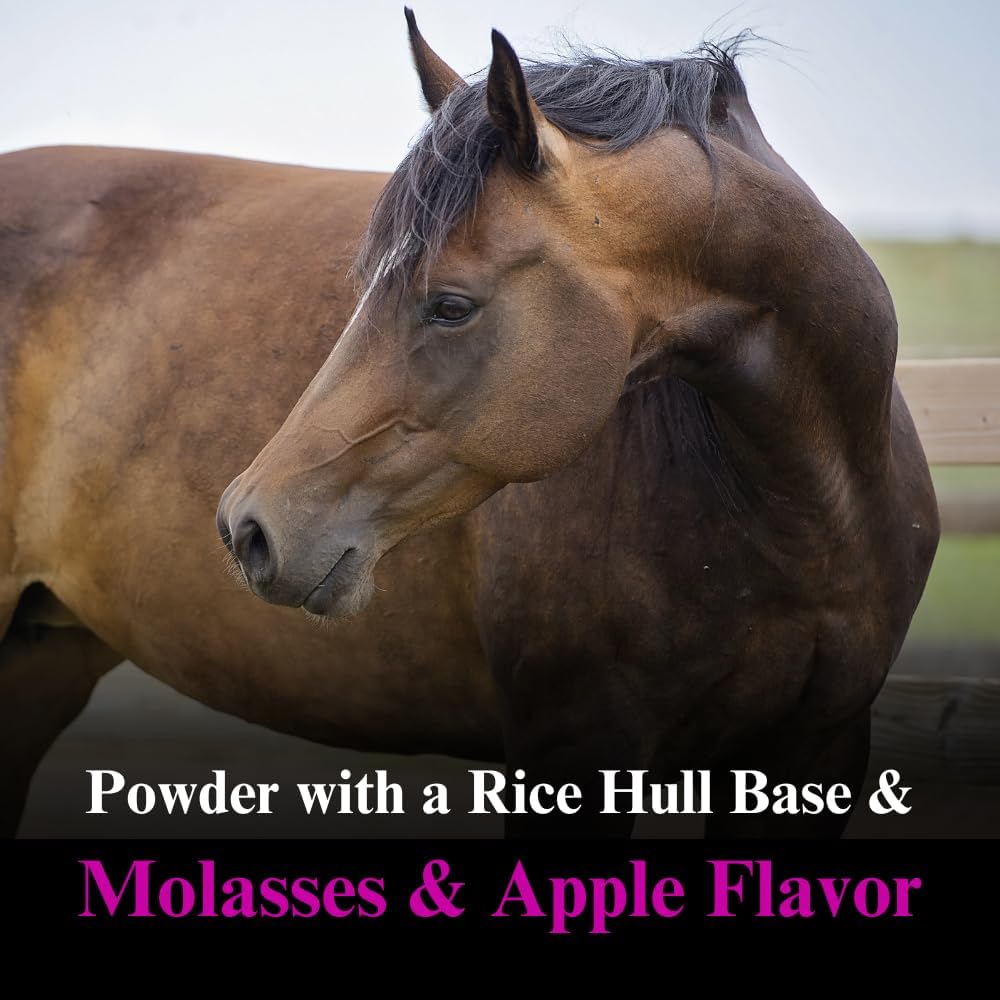 Equine Kre-Alkalyn Creatine Supplement for Energy, Stamina, and Endurance - 2.5lb (2 Pack)