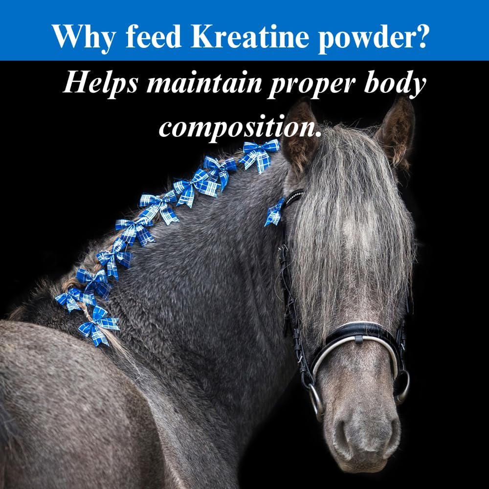 Equine Kre-Alkalyn Creatine Supplement for Energy, Stamina, and Endurance - 2.5lb (2 Pack)