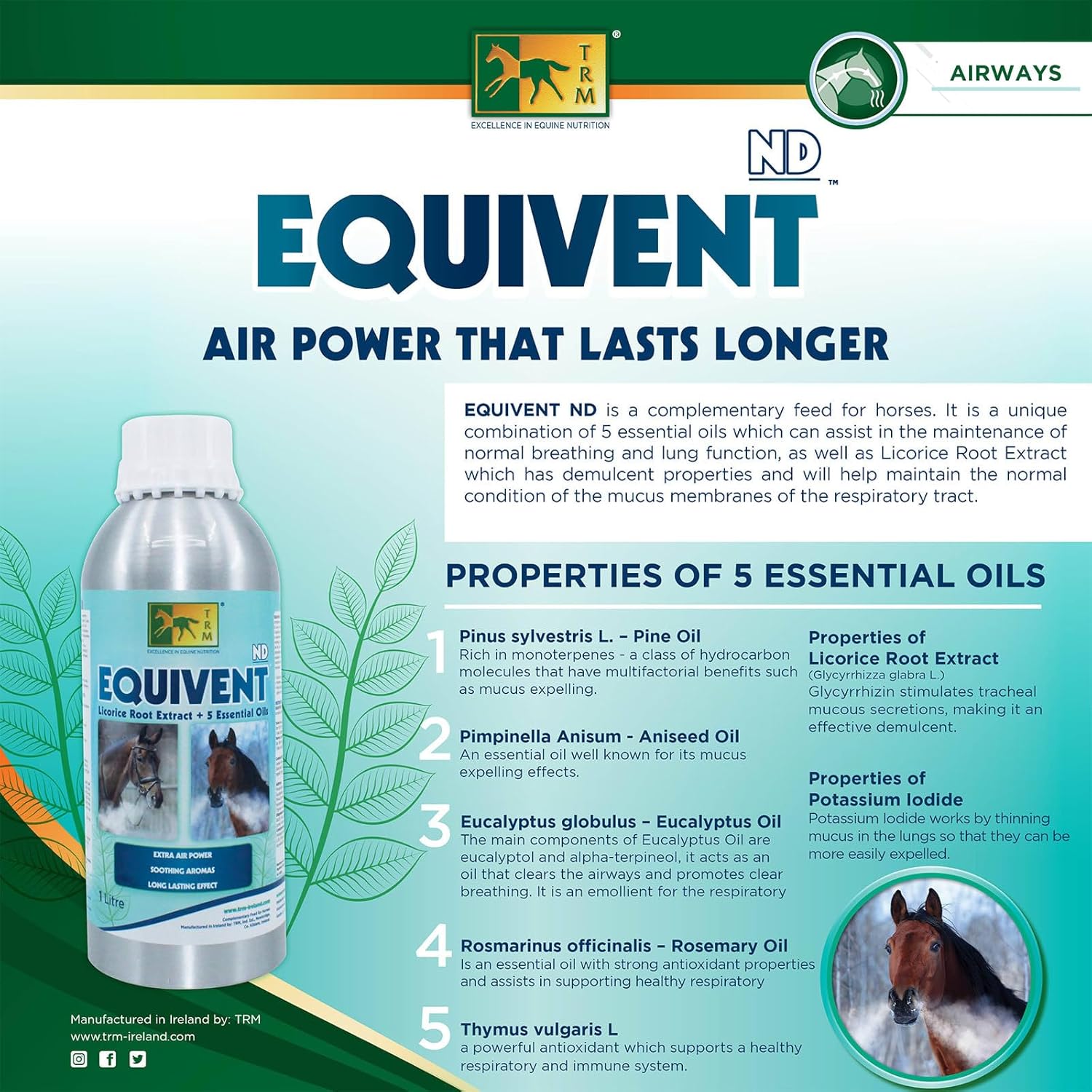 Equine Liquid Supplement with 5 Essential Oils for Respiratory Health - 33.8 fl oz (1 Liter)