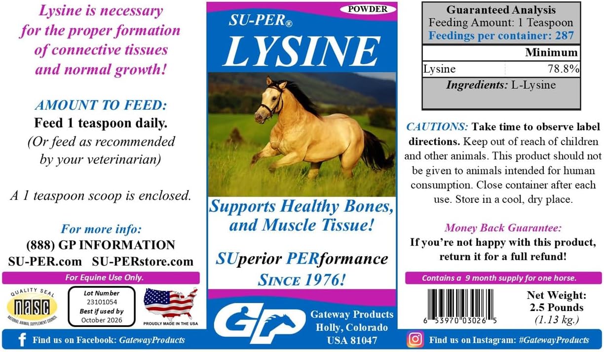 Equine Lysine Supplement for Healthy Bones & Muscle Tissues - Essential Amino Acid for Horses - 2.5lb, Pack of 2