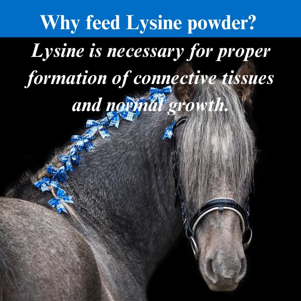 Equine Lysine Supplement for Healthy Bones & Muscle Tissues - Essential Amino Acid for Horses - 2.5lb, Pack of 2