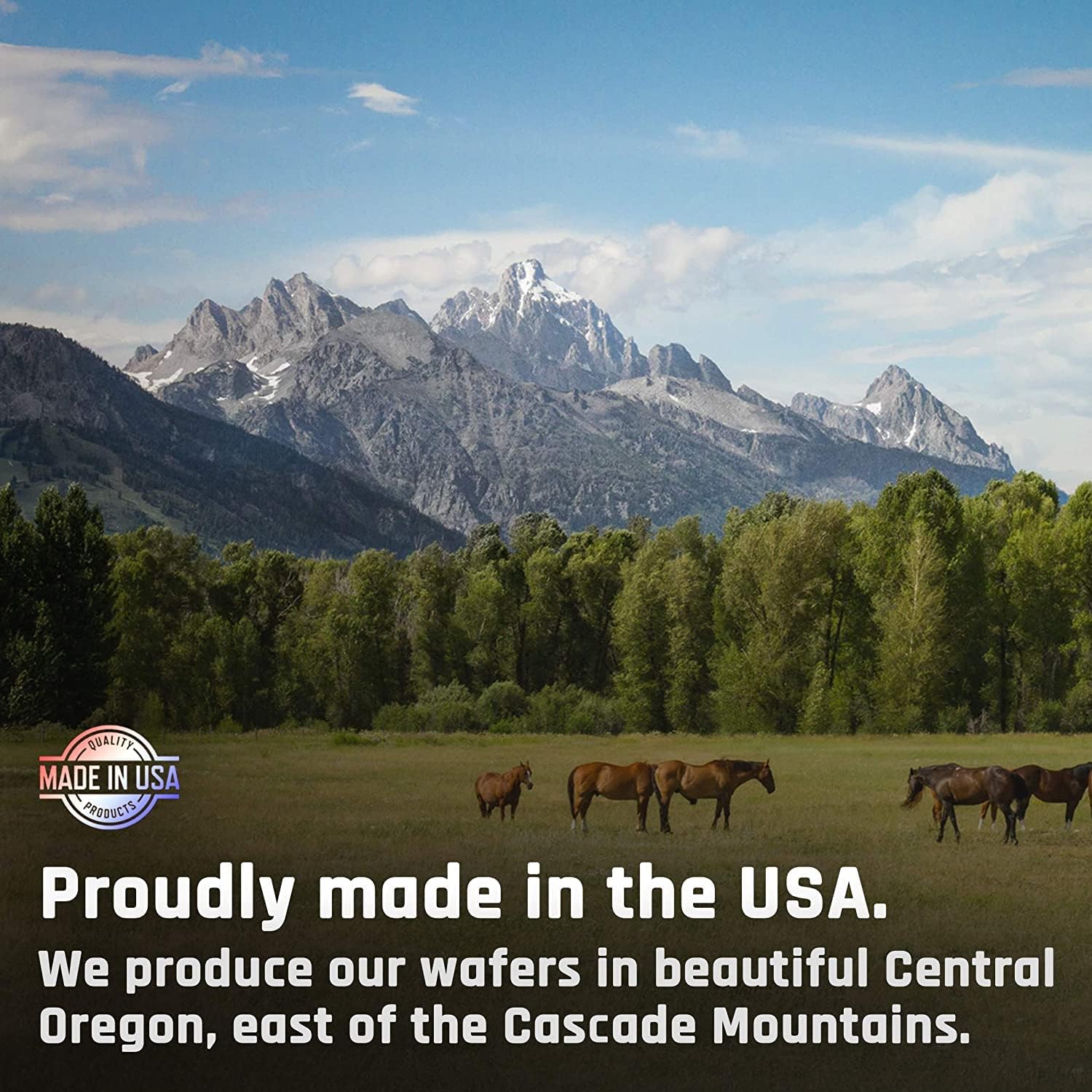 Equine Majesty Kalm Wafers - Promotes Balanced Horse Behavior & Healthy Nervous System (2 Pack, 120 Count)