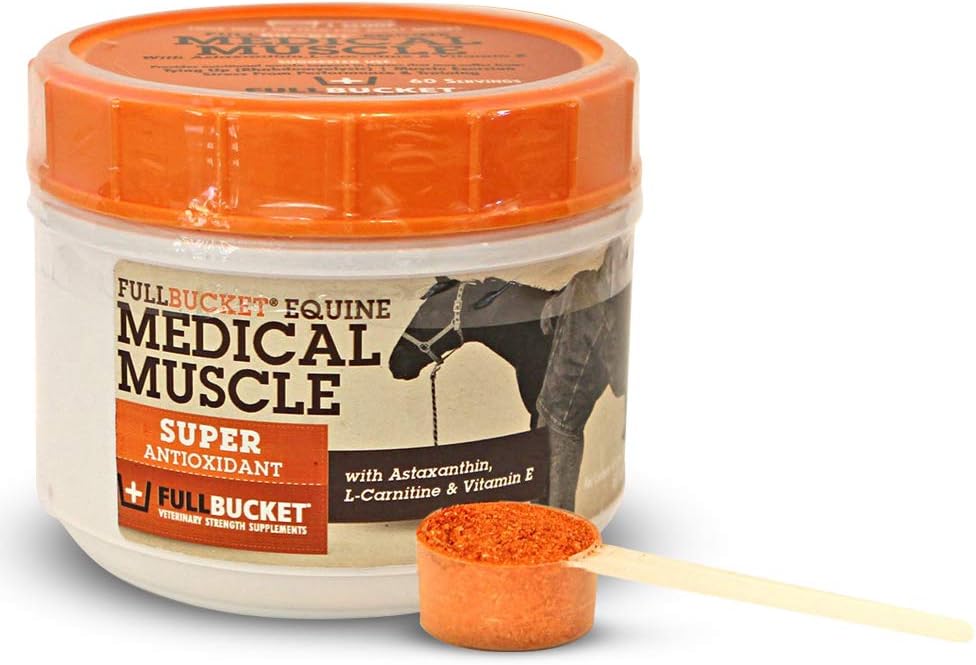Equine Muscle Recovery Supplement for Enhanced Horse Performance