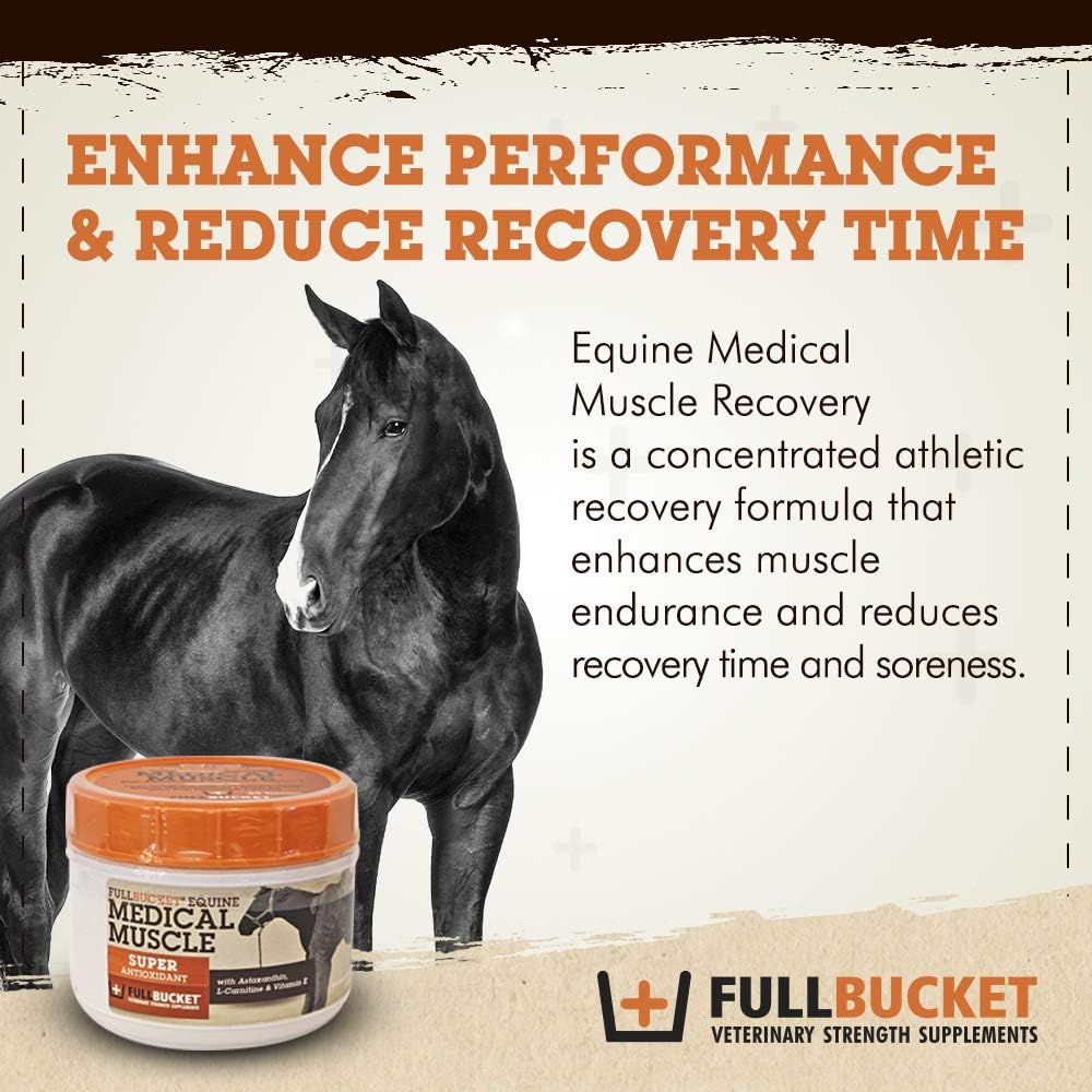 Equine Muscle Recovery Supplement for Enhanced Horse Performance