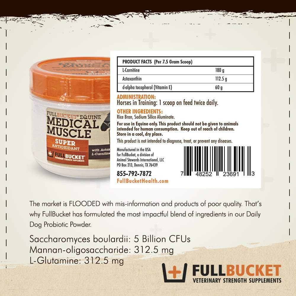 Equine Muscle Recovery Supplement for Enhanced Horse Performance