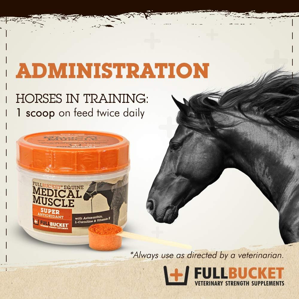 Equine Muscle Recovery Supplement for Enhanced Horse Performance
