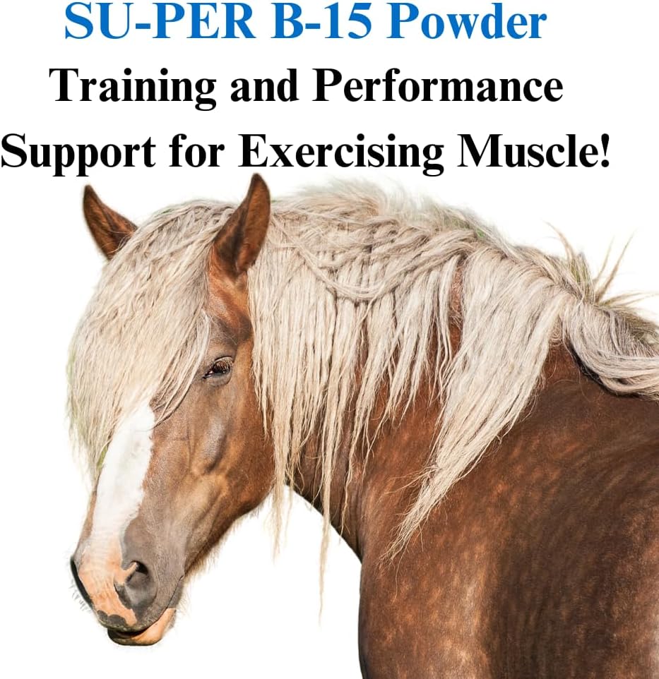 Equine Performance Support: 12.5 lb B-15 Vitamin Powder Supplement for Horses - 6 Month Supply