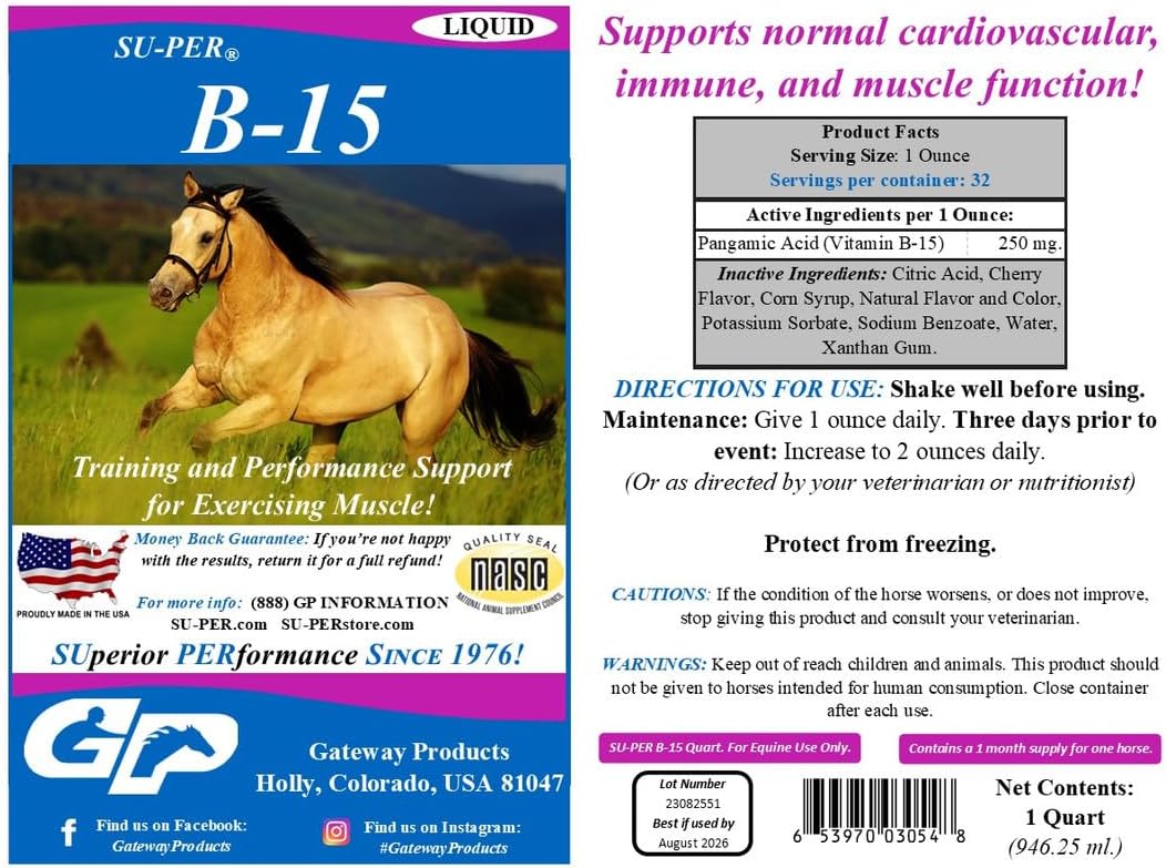 Equine Performance Support: SU-PER B-15 Vitamin Liquid Supplement for Horses - Cardiovascular & Immune Function - 1 Quart, (2 Pack)