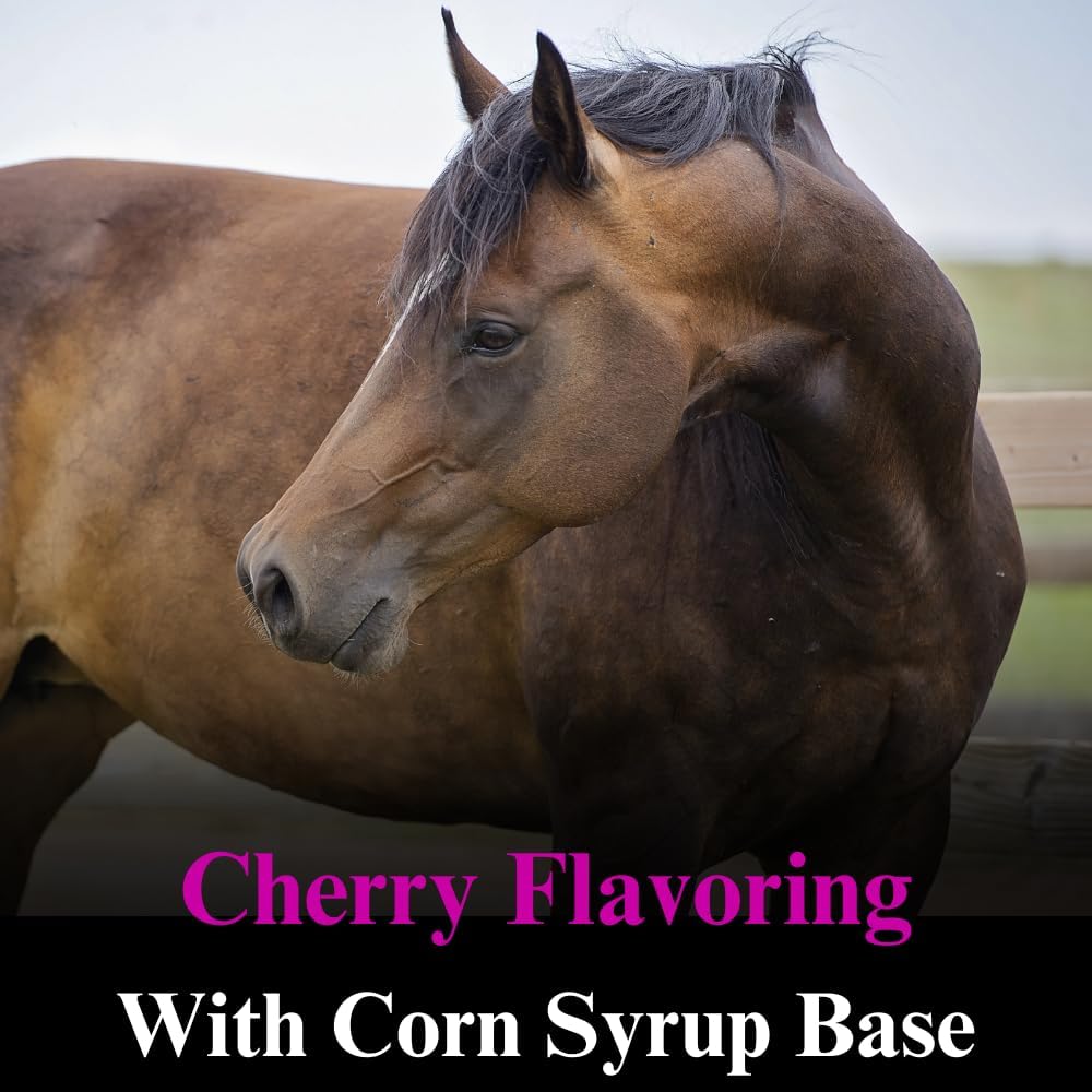 Equine Performance Support: SU-PER B-15 Vitamin Liquid Supplement for Horses - Cardiovascular & Immune Function - 1 Quart, (2 Pack)