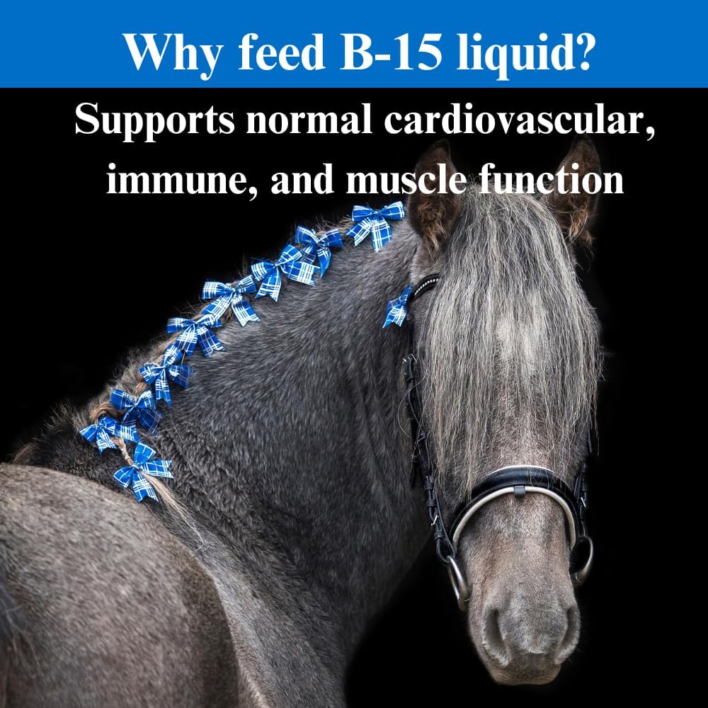 Equine Performance Support: SU-PER B-15 Vitamin Liquid Supplement for Horses - Cardiovascular & Immune Function - 1 Quart, (2 Pack)